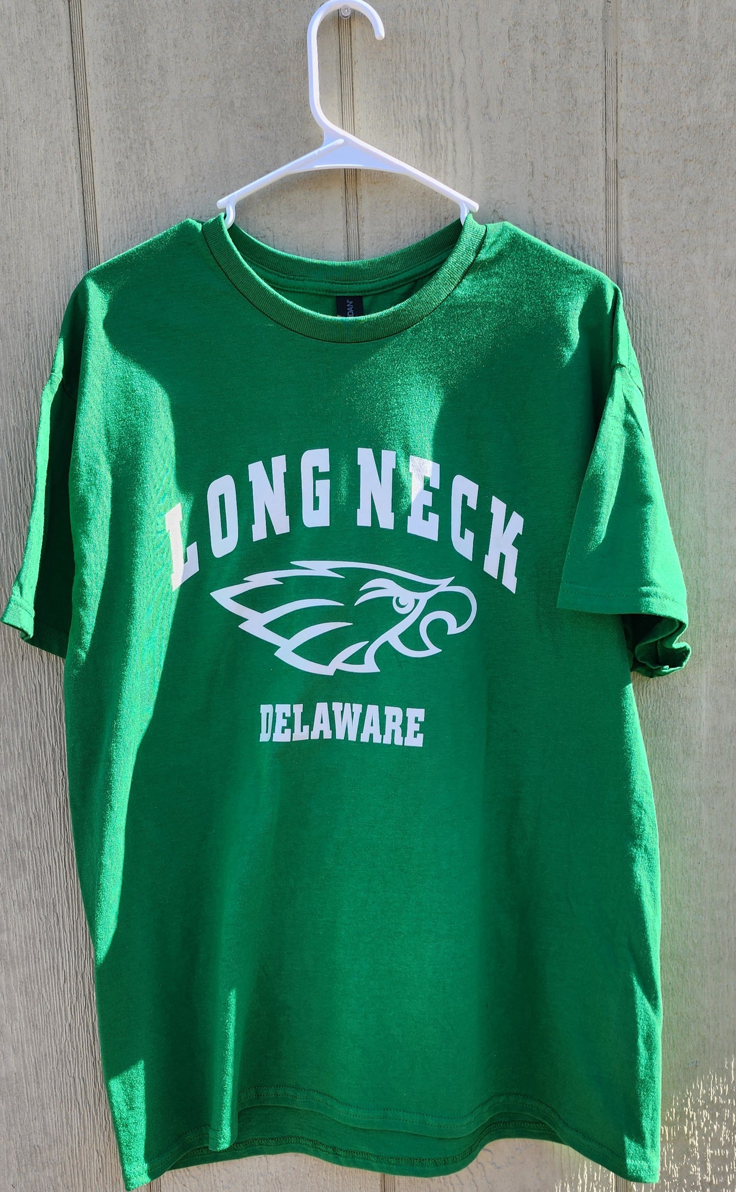 Long Neck Delaware Eagle Front
